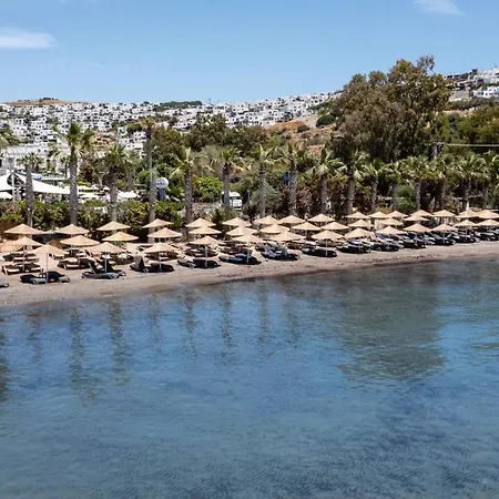 Golden & 4* Bodrum